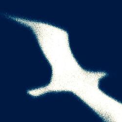 We Fly in the Same Sky  (feat. Pop Miri)