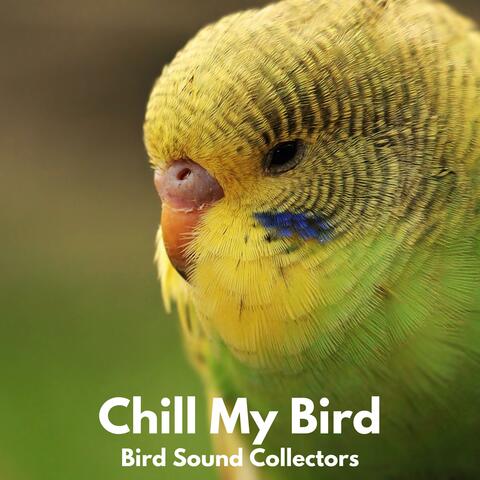 Chill my Bird