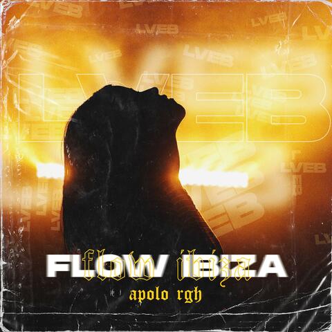 Flow Ibiza