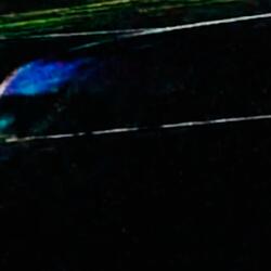 No sense is okay (feat. pttr)