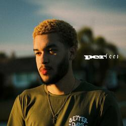perfect (feat. trapboydvnny)