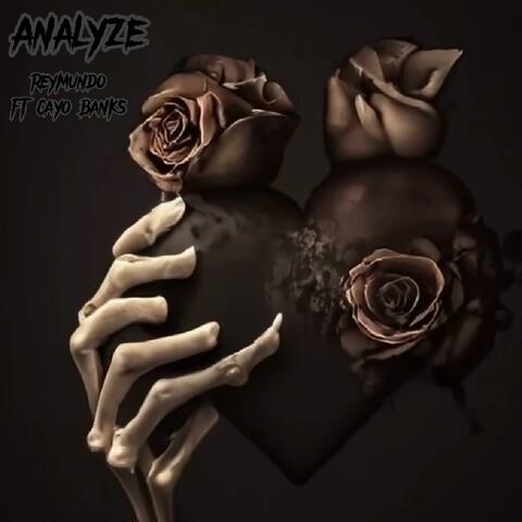 Analyze (feat. Cayo)