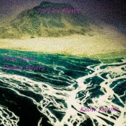 Perplex Flows (feat. Anno Domini Beats)