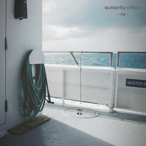 butterfly effect