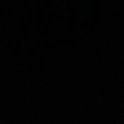 Rackz Ina Day (feat. Gstarbbo & damø)