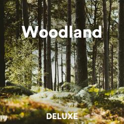 Woodland