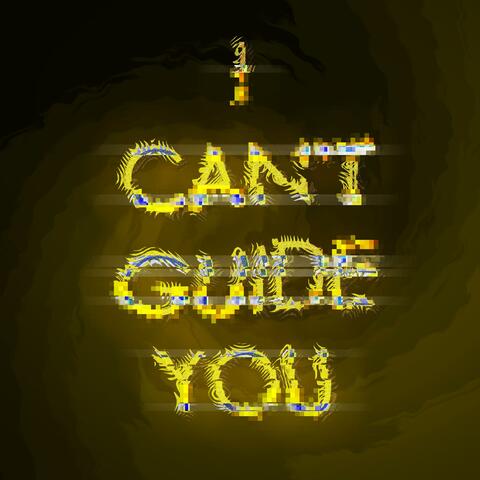 I Can't Guide You