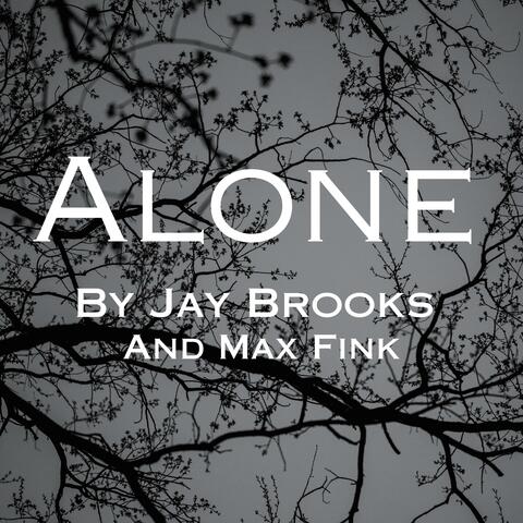 Alone (feat. Max Fink)