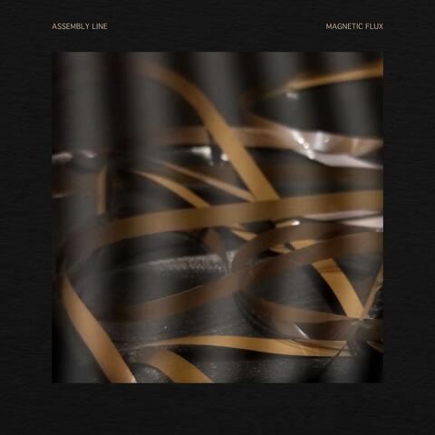 Magnetic Flux