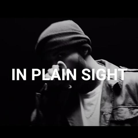 In Plain Sight