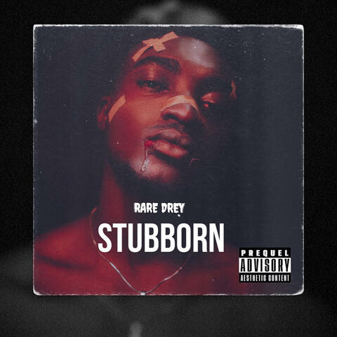 Stubborn