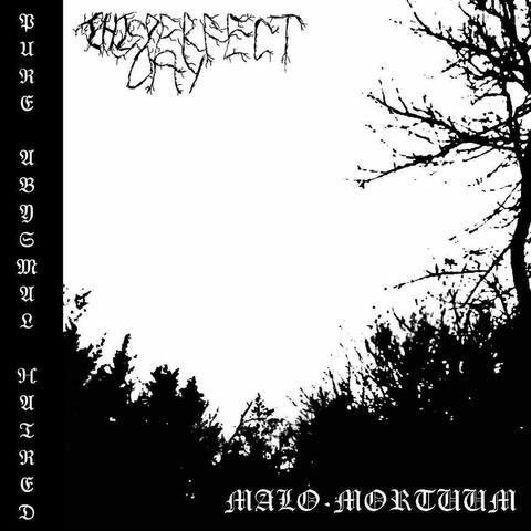 Pure Abysmal Hatred (Split w/ This Perfect Day)