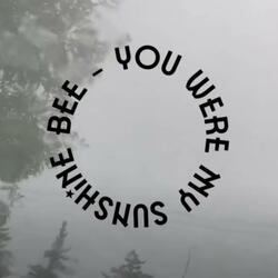 You Were My Sunshine