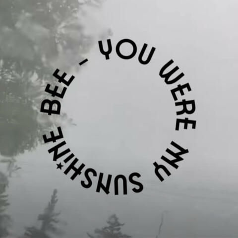 You Were My Sunshine