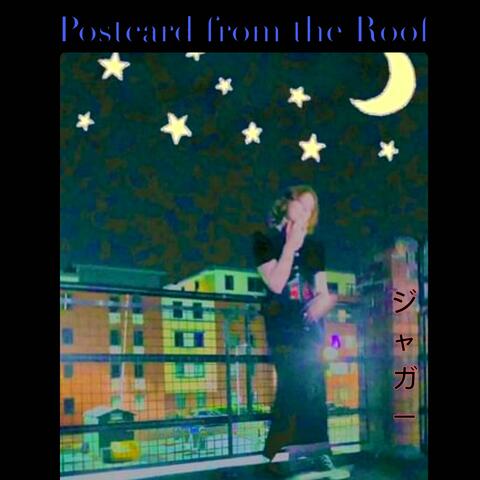 Postcard from the Roof