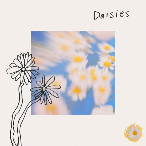 Daisies