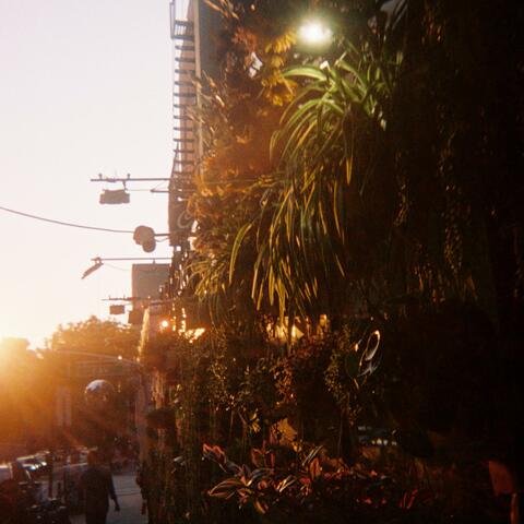a week in new york (instrumentals)