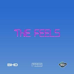 The Feels (feat. Christian Maese)