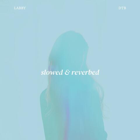 DTB  (slowed & reverb)