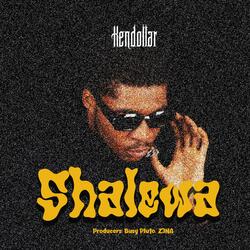 Shalewa (if this could be love)