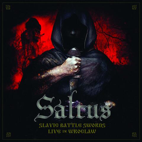 Slavic Battle Sword Live in Wroclaw