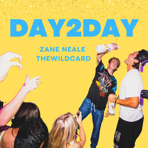 Day 2 Day (feat. Thewildcard)