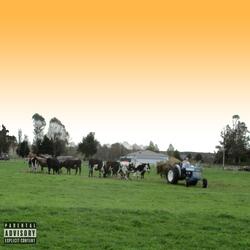 ENTER ABOVE (INTERLUDE)