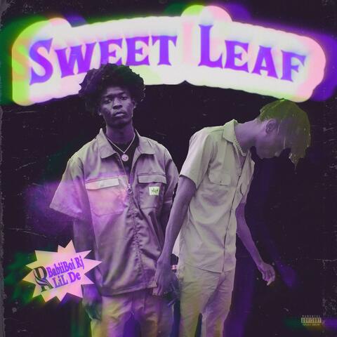 Sweet Leaf (feat. BabiiBoi Rj)
