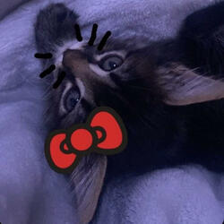 To jest ok! (feat. Cymer & Szyna)