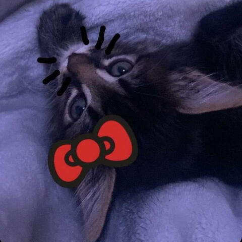 To jest ok! (feat. Cymer & Szyna)