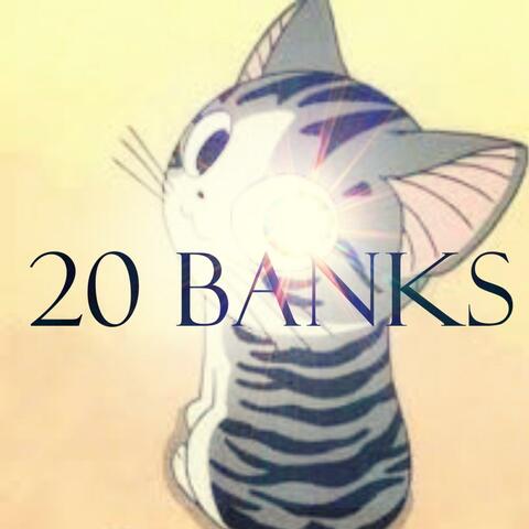 20 Banks