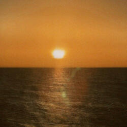 to the ocean