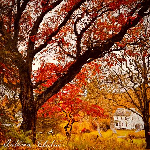 Autumn Electric