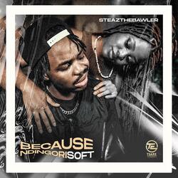 Because Ndingori Soft