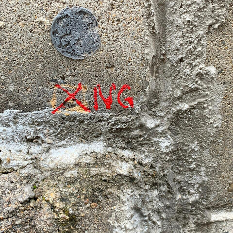 saya (archive ~7-23-2019)