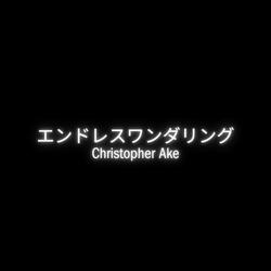 エンドレスワンダリング (Endless Wandering)