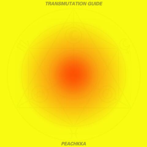 Transmutation Guide