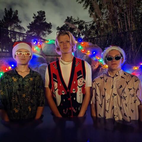 Christmas in San Diego