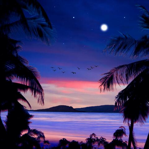 Meet Me in Waikiki