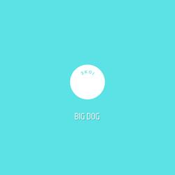 BIG DOG