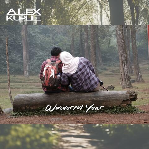 Wonderful Year