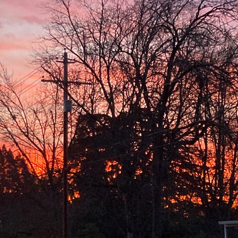 November Mornings: Songs From Daily Light