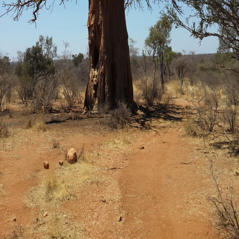 LIMPOPO IS A COUNTRY