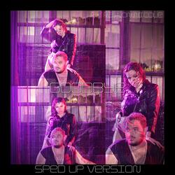 Goodbye (feat. Fallon Nicole)