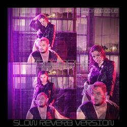 Goodbye (feat. Fallon Nicole)