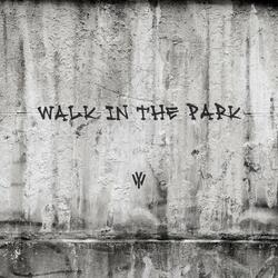 Walk In The Park (feat. Trouble YS)