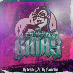 Donde estan las gatas (feat. Dj Jester)
