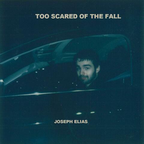 Too Scared of the Fall