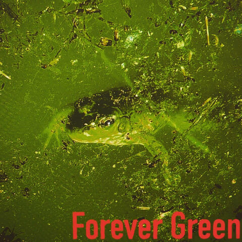 Forever Green Demos