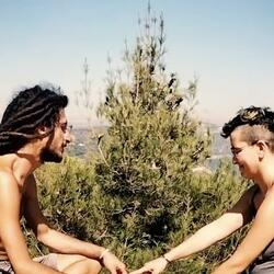 dancing trees (a love story)